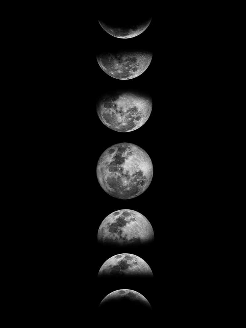 Moon Wall Art, Phases of the Moon 18in x 24in - The Moon Joy